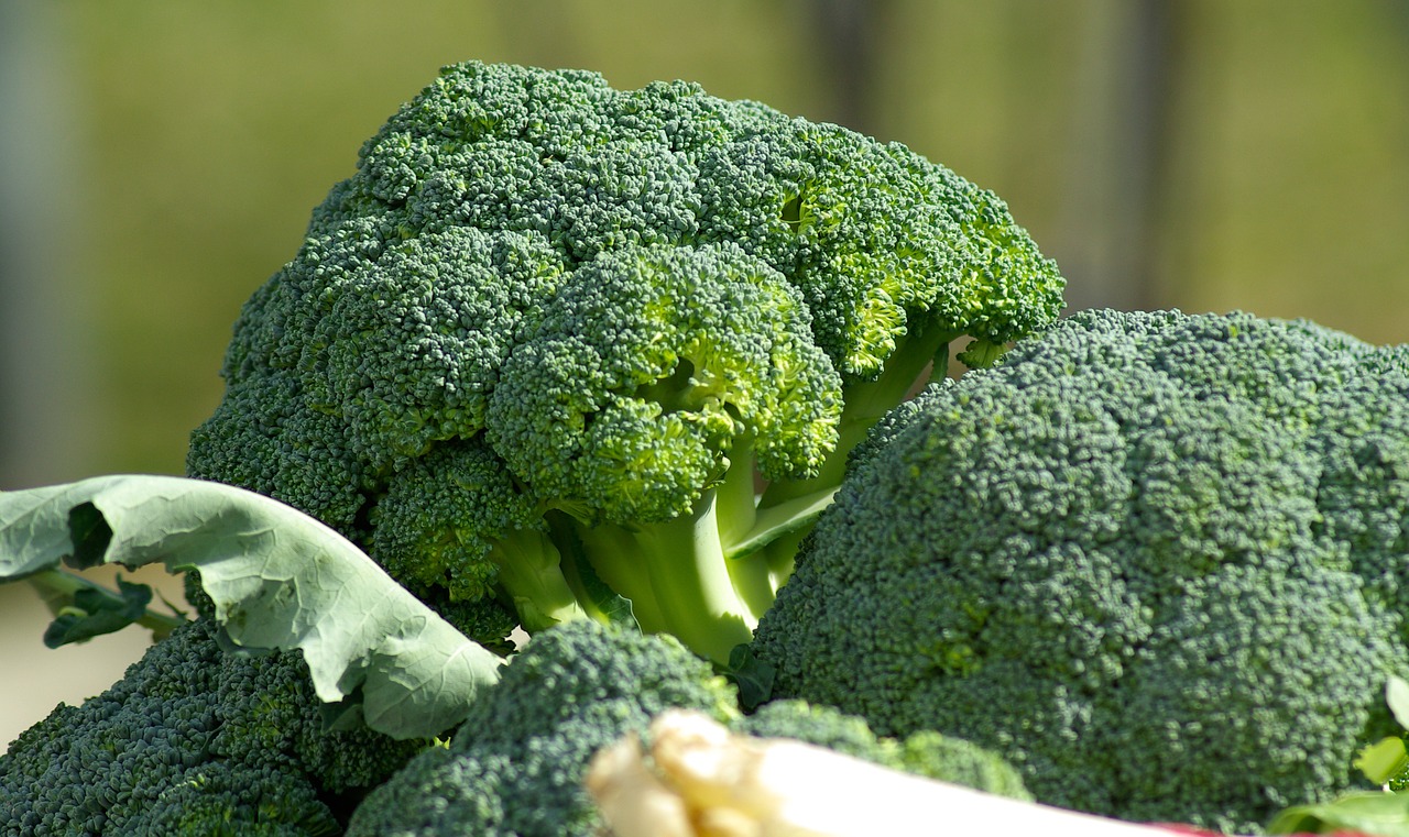Top 10 Protein-Rich Vegetables to Include in Your Diet - All About Health