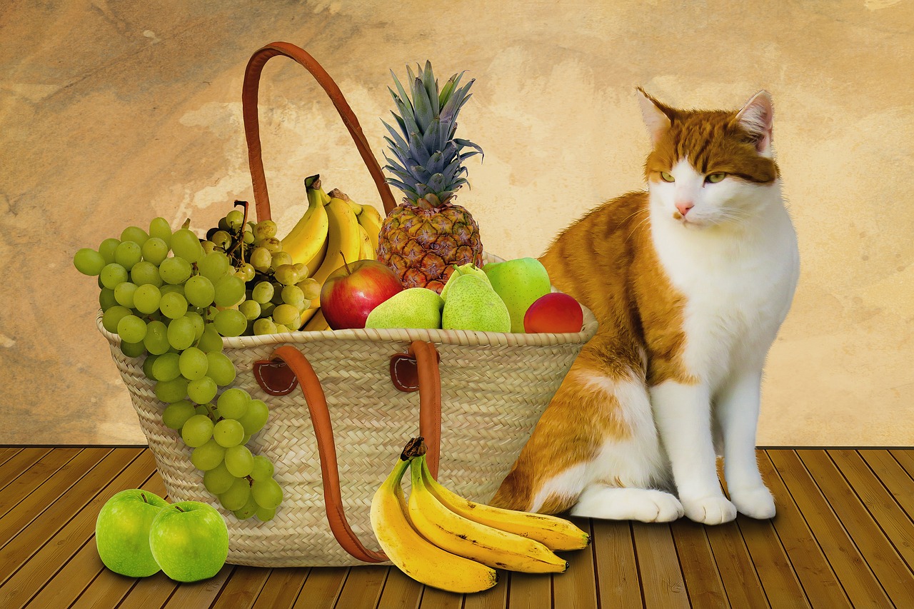 Can Cats Eat Bananas Are Bananas Good For Cats