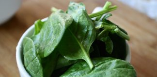 can rabbits eat spinach?