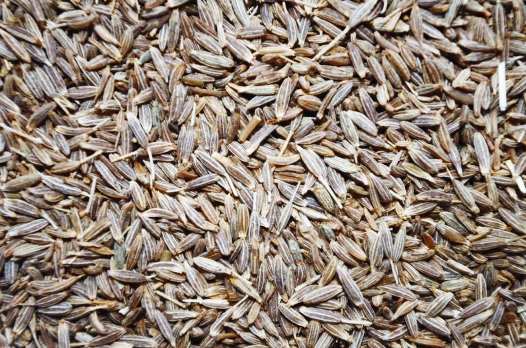 Caraway seeds are the best cumin substitute.